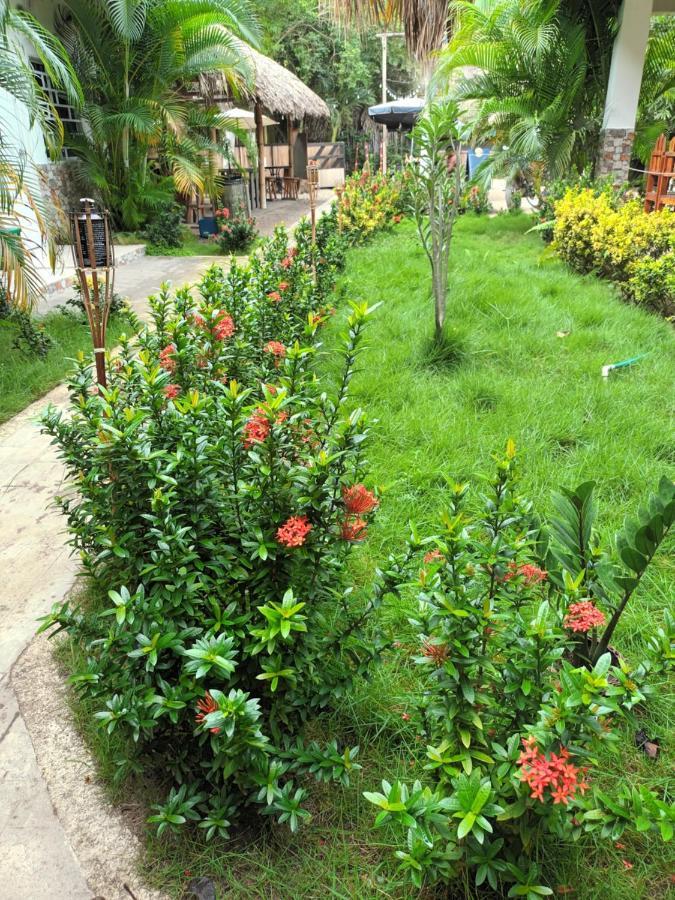פאלומינו Hostal Cuyagua מראה חיצוני תמונה