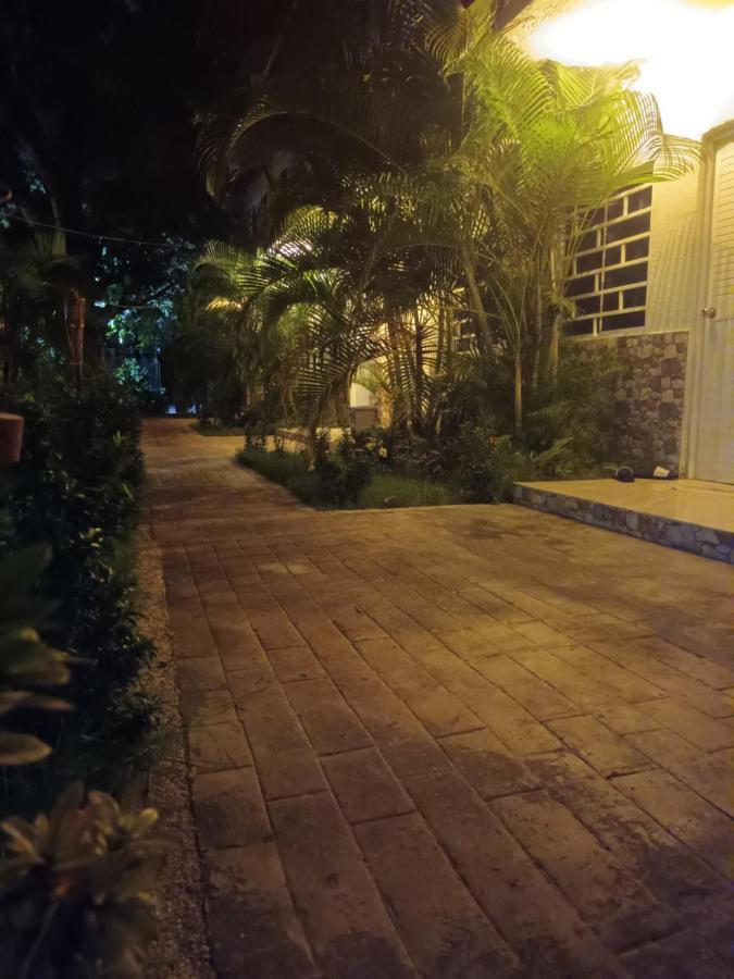 פאלומינו Hostal Cuyagua מראה חיצוני תמונה